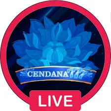 CENDANA777 - Aplikasi Sportsbook Terbaik untuk Penggemar Taruhan